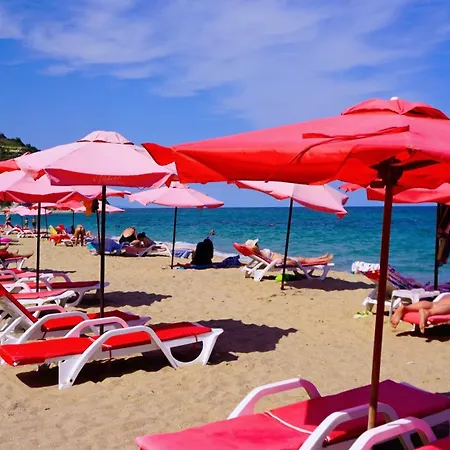 Fortuna Cape B46 - фортуна кейп в46 Byala (Varna)