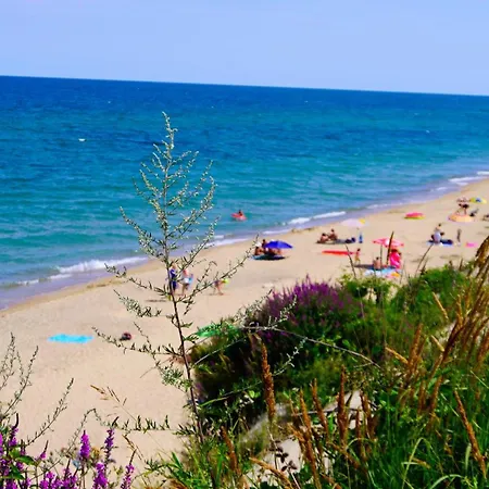 Fortuna Cape B46 - фортуна кейп в46 Lejlighed Byala (Varna)